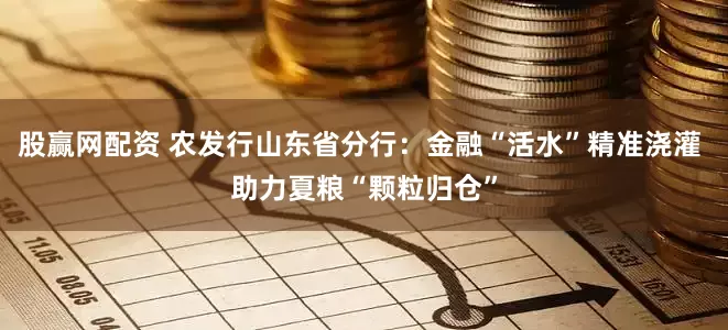 股赢网配资 农发行山东省分行：金融“活水”精准浇灌 助力夏粮“颗粒归仓”